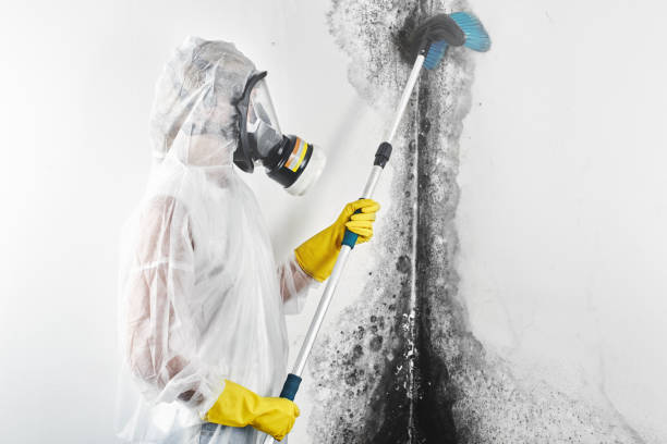 Mold Remediation for Rental Properties in Paramount Long Meadow, MD