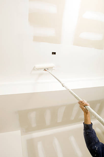 Best Post-Construction Mold Inspection  in Paramount Long Meadow, MD
